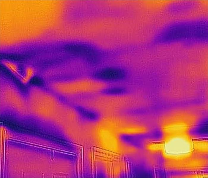 Advanced technology thermal imagery for water damage detection for commercial water loss